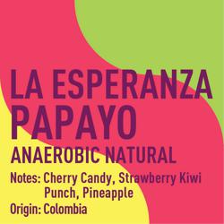 Colombia La Esperanza Papayo Anaerobic Natural coffee beans.