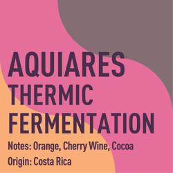 Costa Rica Aquiares Thermic Fermentation coffee beans.