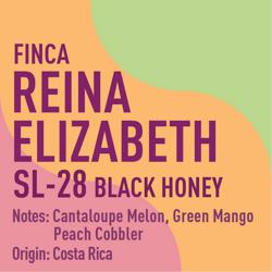 Costa Rica Finca Reina Elizabeth SL-28 Black Honey coffee beans.