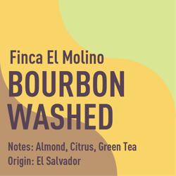 El Salvador Finca El Molino Bourbon Washed coffee beans.