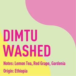 Ethiopia Hambela Dimtu Washed coffee beans