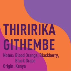 Kenya Thiririka Githembe AA Washed coffee beans.