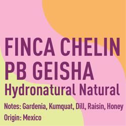 Mexico Finca Chelin Peaberry Geisha Hydronatural Natural coffee beans.