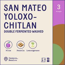 Mexico San Mateo Yoloxochitlan Double Fermentation Washed coffee beans.