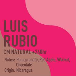 Nicaragua Luis Rubio CM Natural +240hr coffee beans.