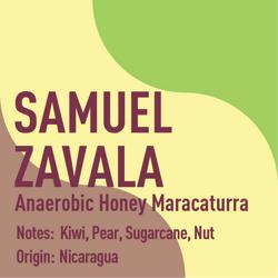 Nicaragua Samuel Zavala Anaerobic Honey Maracaturra coffee beans.