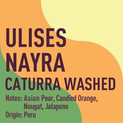 Peru Ulises Nayra Caturra Washed coffee beans.