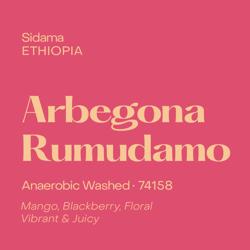 ARBEGONA RUMUDAMO ANAEROBIC WASHED coffee beans