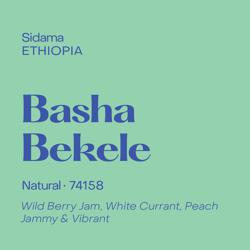 Basha Bekele coffee beans.