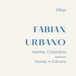 Colombia Fabian Urbano, Honey Caturra coffee beans.
