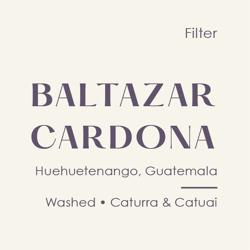 Guatemala Baltazar Cardona, Washed Caturra & Catuai coffee beans.