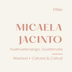 Guatemala Micaela Jacinto, Washed Caturra & Bourbon coffee beans.