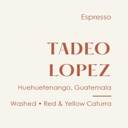 Guatemala Tadeo Lopez Espresso, Washed Red & Yellow Caturra coffee beans.