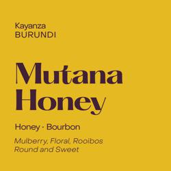 Burundi Mutana, Honey Red Bourbon coffee beans.