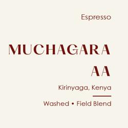 Kenya Muchagara AA Espresso, Washed Field Blend coffee beans.
