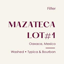 Mexico Mazateca #1, Washed Typica & Bourbon coffee beans.