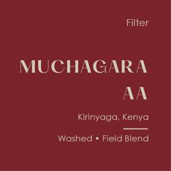 Muchagara AA coffee beans.