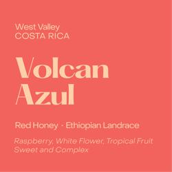 Volcan Azul Red Honey coffee beans