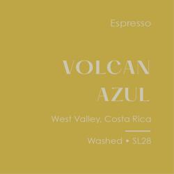 Volcan Azul Washed SL28 coffee beans.