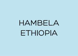 HAMBELA - ETHIOPIA coffee beans.