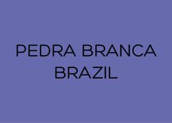 PEDRA BRANCA  - NATURAL ANAEROBIC - BRAZIL coffee beans.