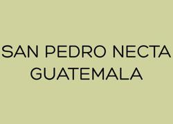 SAN PEDRO NECTA - GUATEMALA coffee beans.