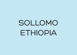 SOLLOMO - ETHIOPIA coffee beans.