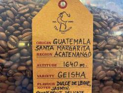 Guatemala Santa Margarita coffee beans.